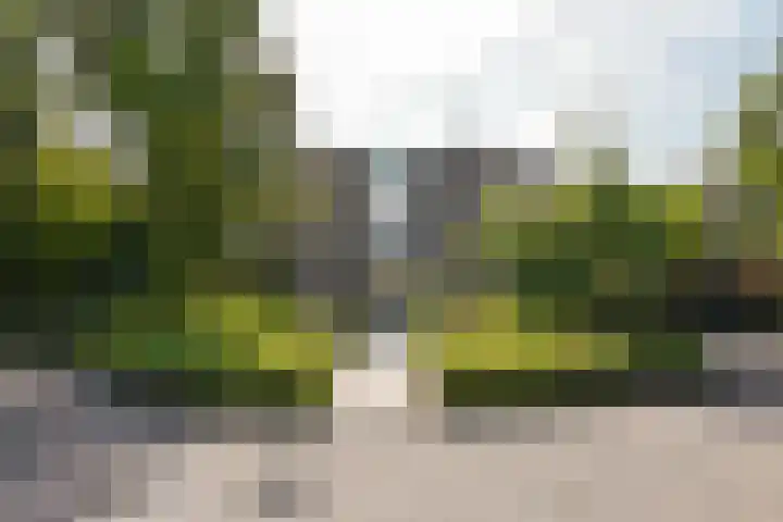 Klammeland 11 Benningbroek thumbnail 44