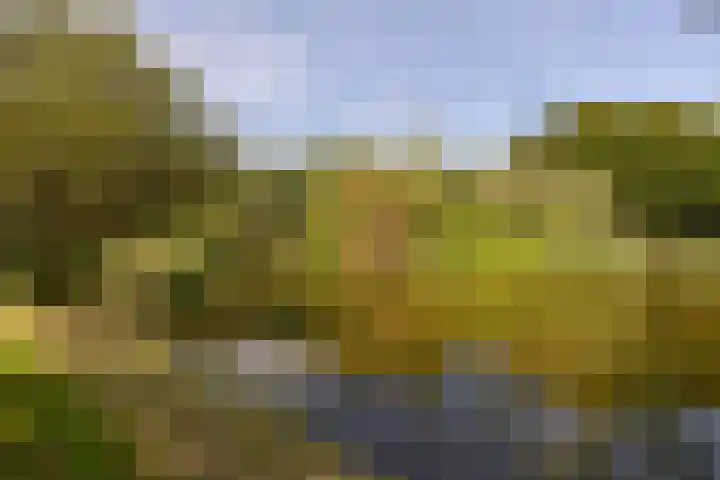 Klammeland 11 Benningbroek thumbnail 45