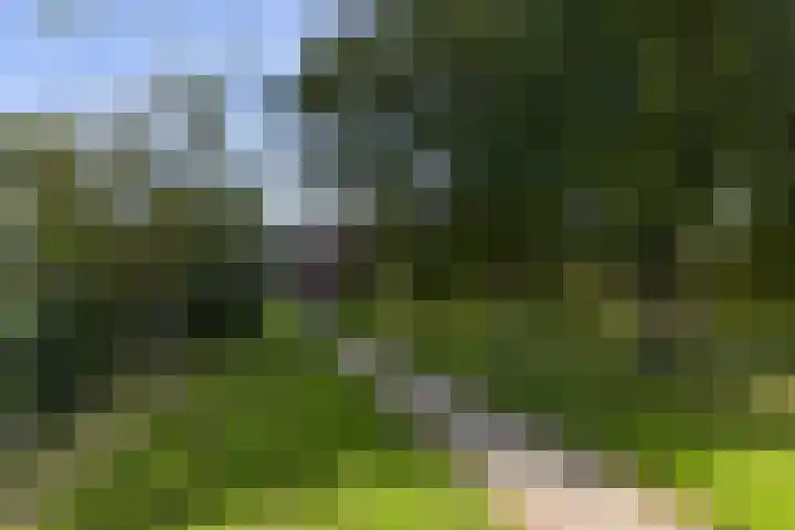 Klammeland 11 Benningbroek thumbnail 46