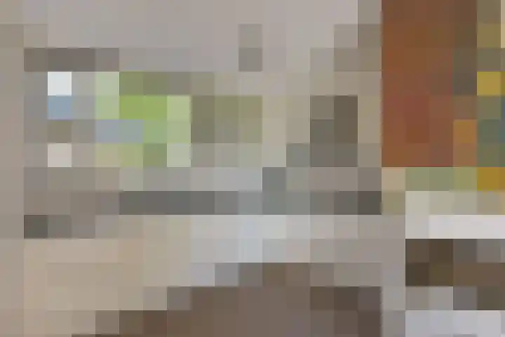 Klammeland 11 Benningbroek thumbnail 9