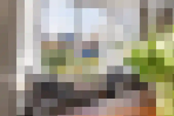 Klamp 29 Meijel thumbnail 14