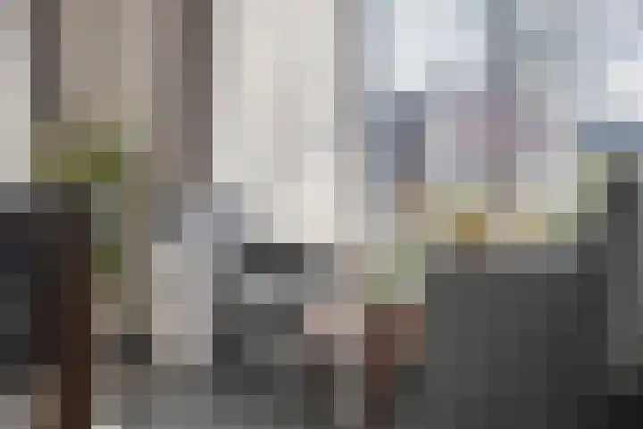 Klamp 29 Meijel thumbnail 15