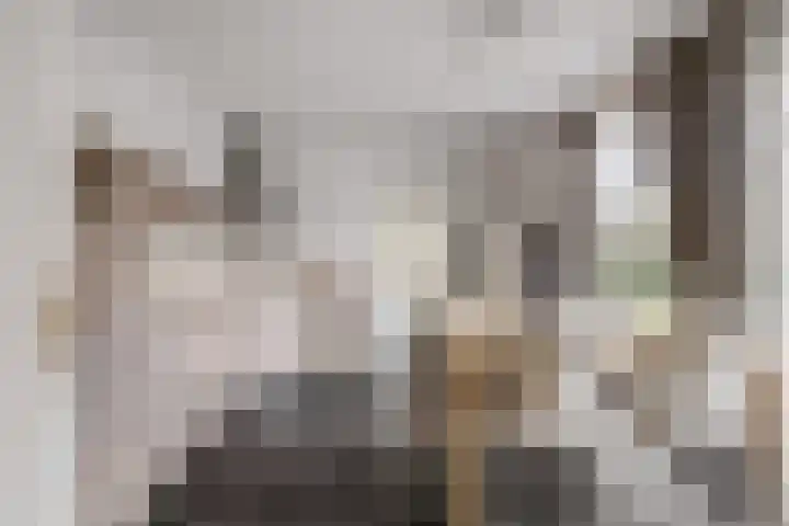 Klamp 29 Meijel thumbnail 17