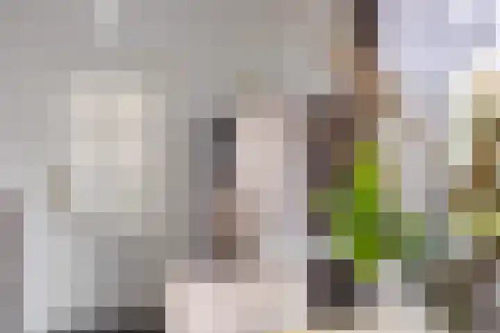 Klamp 29 Meijel thumbnail 18