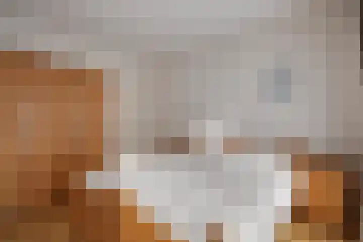Klamp 29 Meijel thumbnail 23