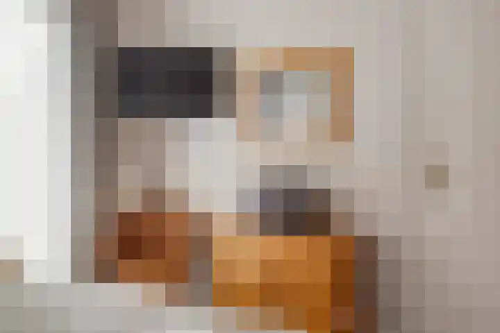 Klamp 29 Meijel thumbnail 26