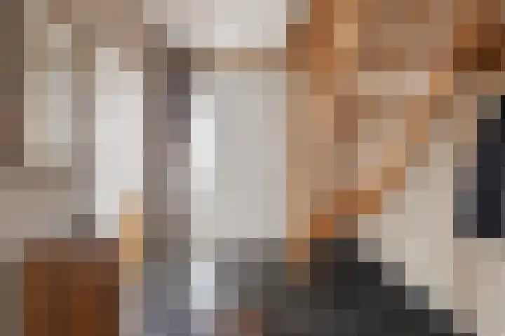 Klamp 29 Meijel thumbnail 34