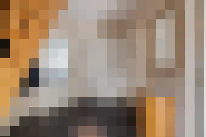 Klamp 29 Meijel thumbnail 35