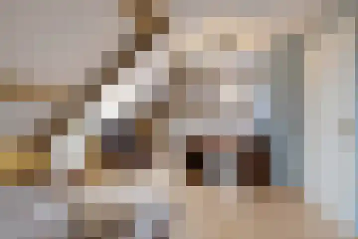Klamp 29 Meijel thumbnail 37