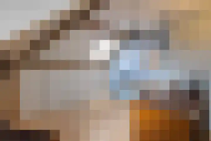 Klamp 29 Meijel thumbnail 38