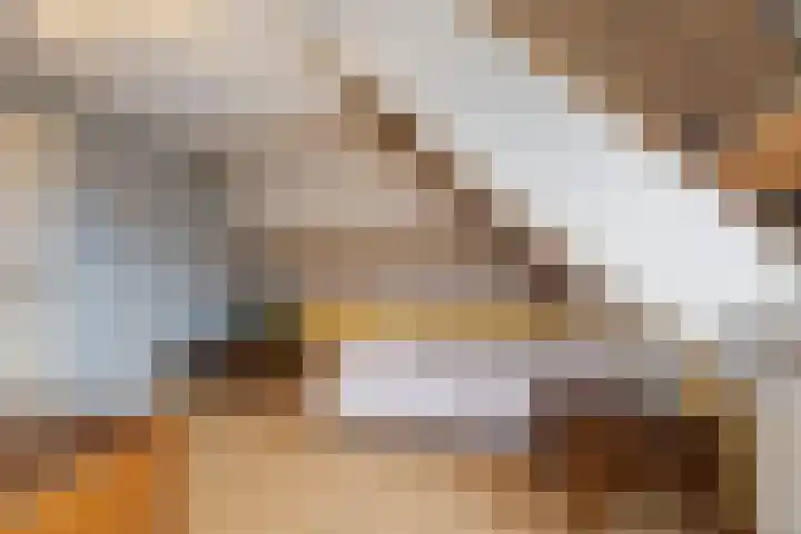 Klamp 29 Meijel thumbnail 39