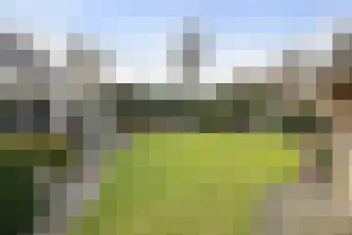 Klamp 29 Meijel thumbnail 4