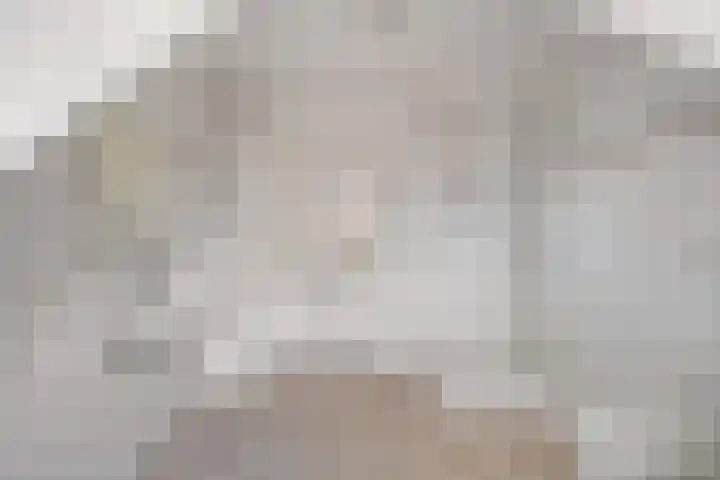 Klamp 29 Meijel thumbnail 43