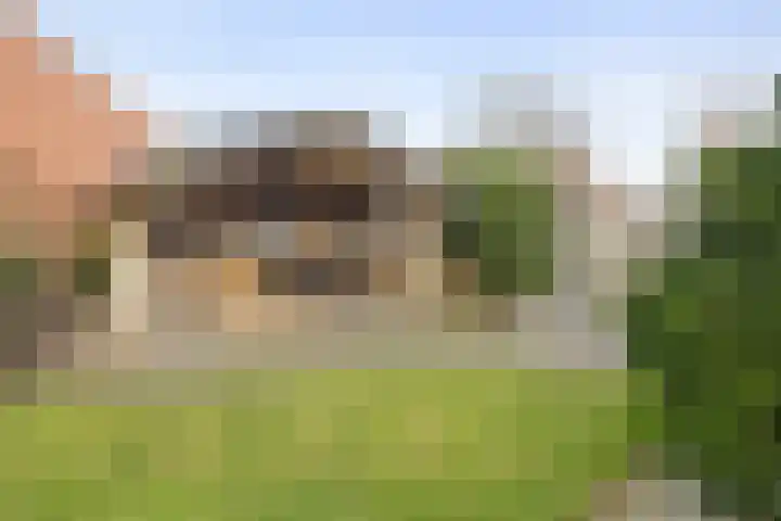 Klamp 29 Meijel thumbnail 52