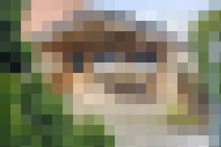 Klamp 29 Meijel thumbnail 53
