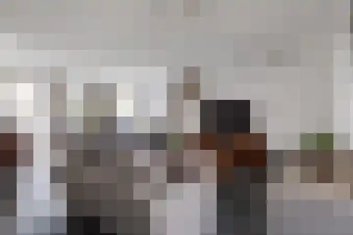 Klamp 29 Meijel thumbnail 6