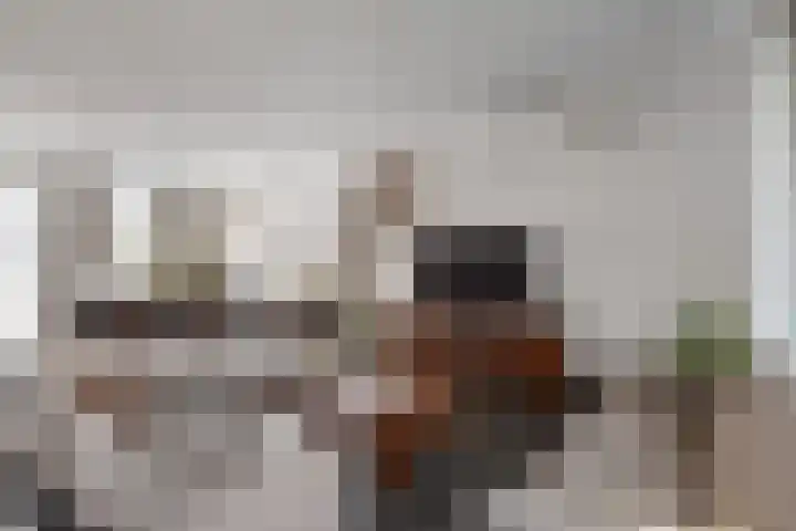 Klamp 29 Meijel thumbnail 7
