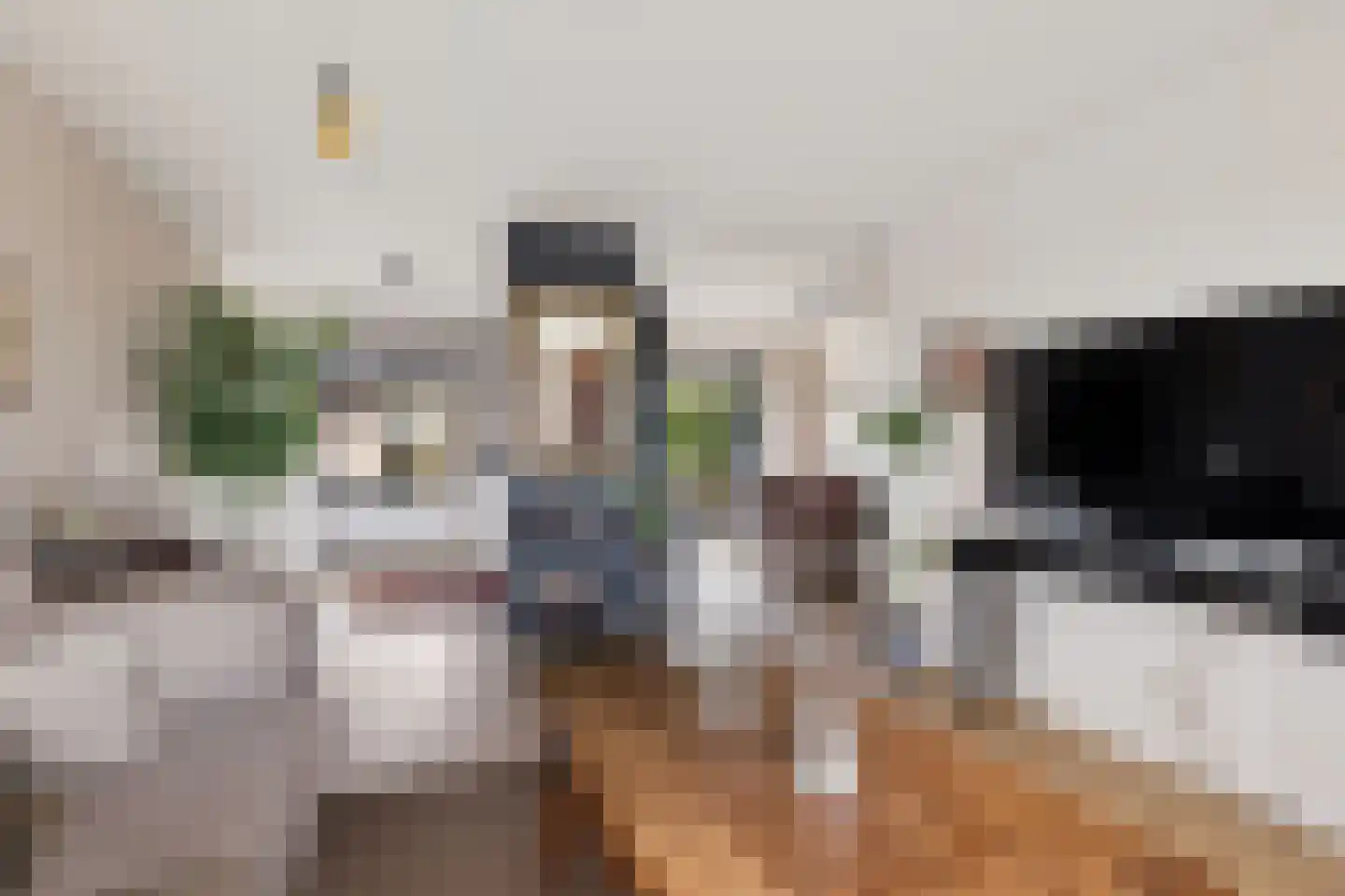 Klamp 3 Oosterhesselen thumbnail 10