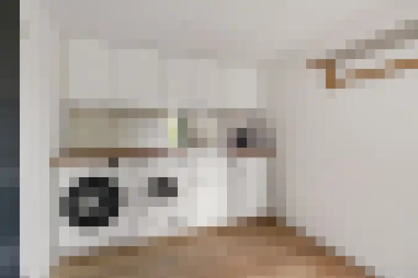 Klamp 3 Oosterhesselen thumbnail 19