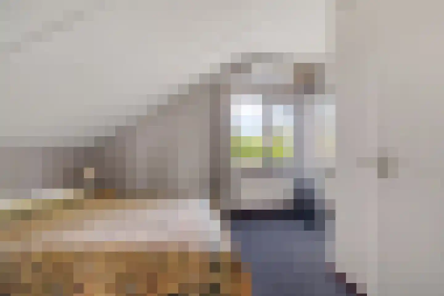 Klamp 3 Oosterhesselen thumbnail 25