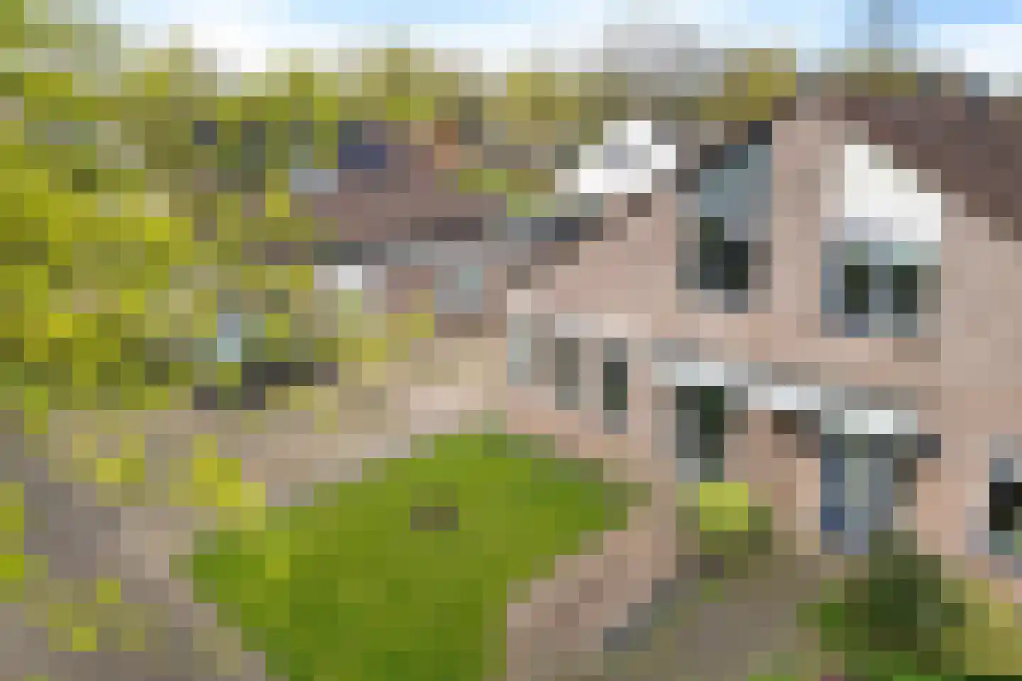 Klamp 3 Oosterhesselen thumbnail 35