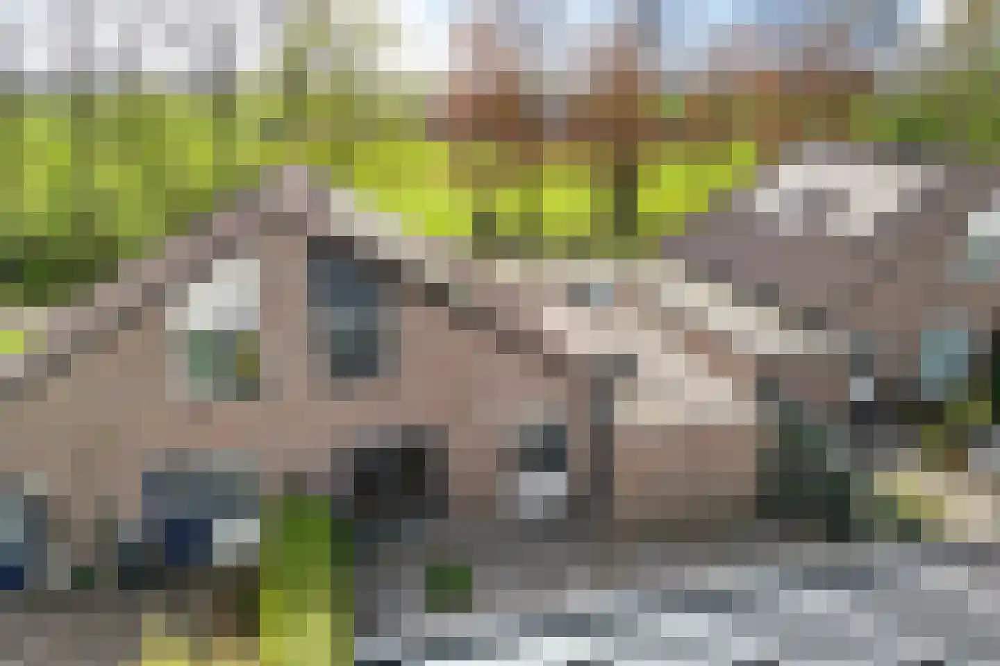 Klamp 3 Oosterhesselen thumbnail 38