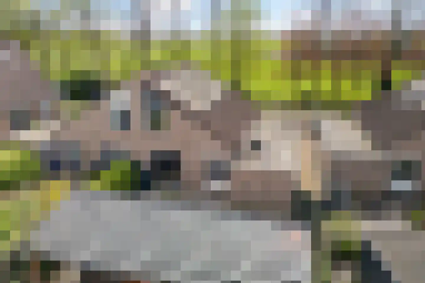 Klamp 3 Oosterhesselen thumbnail 4