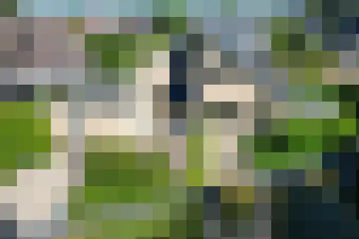 Klamp 9 Joure thumbnail 31