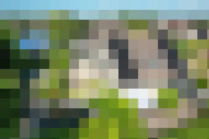 Klamp 9 Joure thumbnail 32