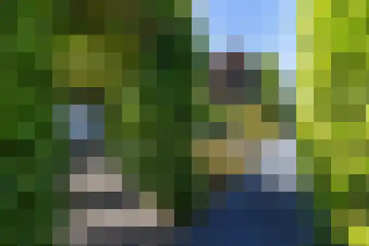Klamp 9 Joure thumbnail 40