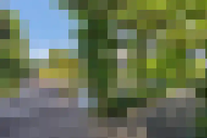 Klamp 9 Joure thumbnail 41