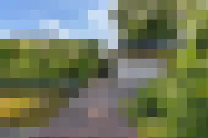 Klamp 9 Joure thumbnail 42