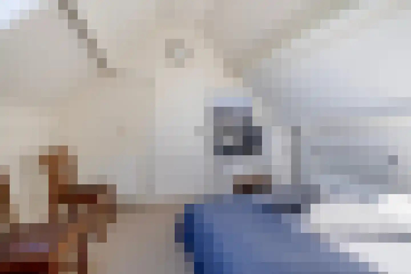 Klampenmeet 25 a Sommelsdijk thumbnail 33