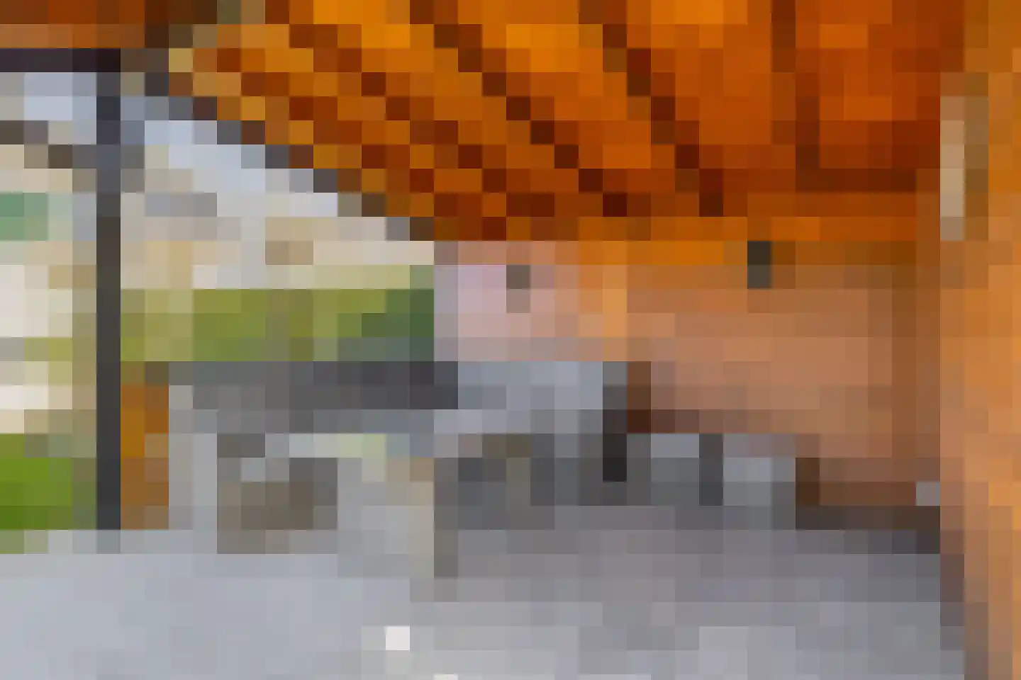 Klampenmeet 25 a Sommelsdijk thumbnail 39