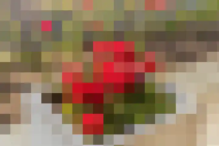 Klamperlaan 21 Nuenen thumbnail 11