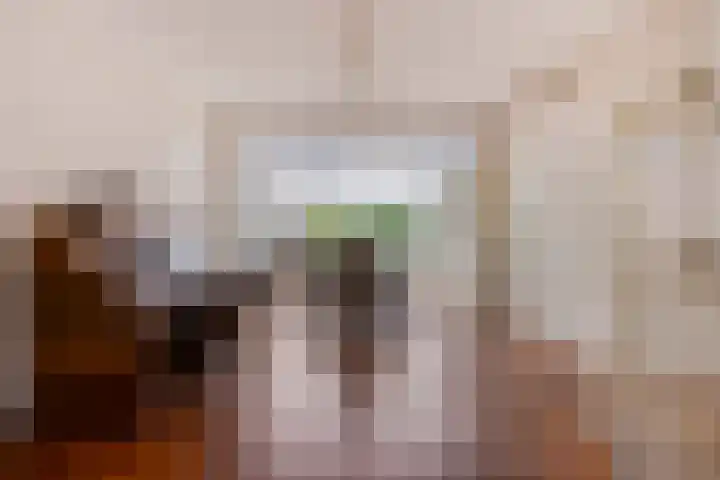 Klamperlaan 21 Nuenen thumbnail 16