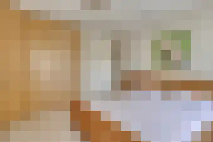 Klamperlaan 21 Nuenen thumbnail 26