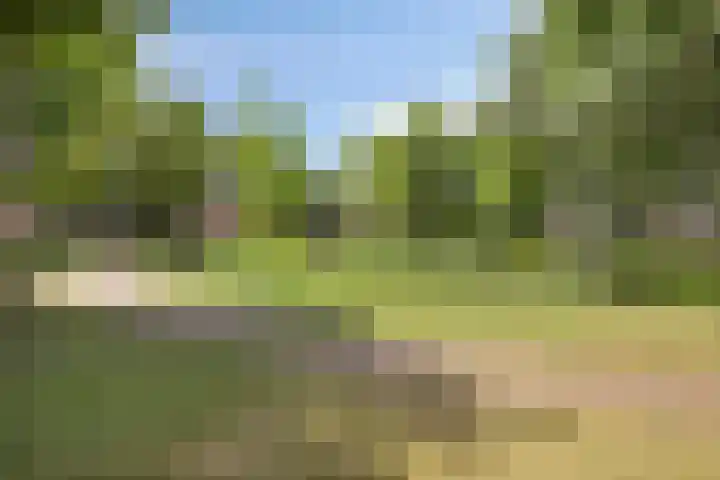 Klamperlaan 21 Nuenen thumbnail 38