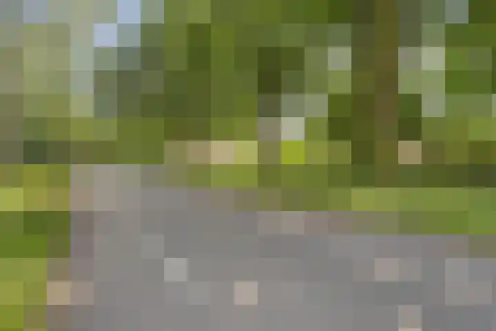 Klamperlaan 21 Nuenen thumbnail 7