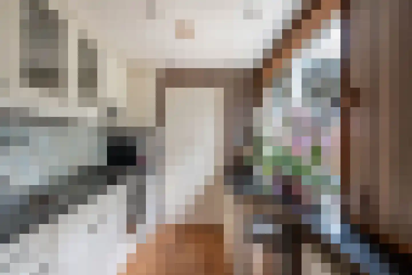 Klampersstraat 19 Zaandam thumbnail 16