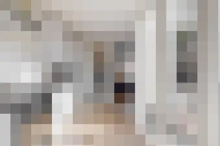 Klampersstraat 24 Zaandam thumbnail 11