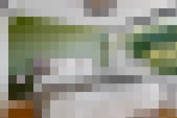 Klampersstraat 24 Zaandam thumbnail 15