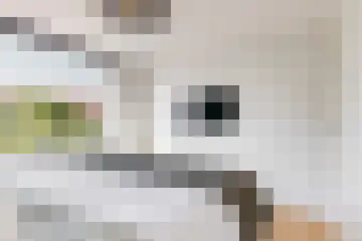 Klampersstraat 24 Zaandam thumbnail 16
