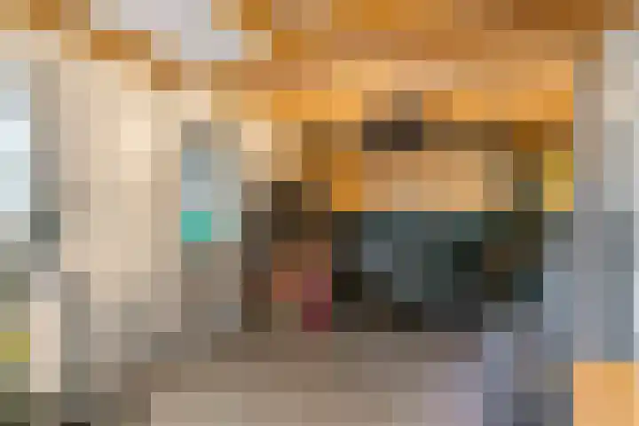 Klampersstraat 24 Zaandam thumbnail 33
