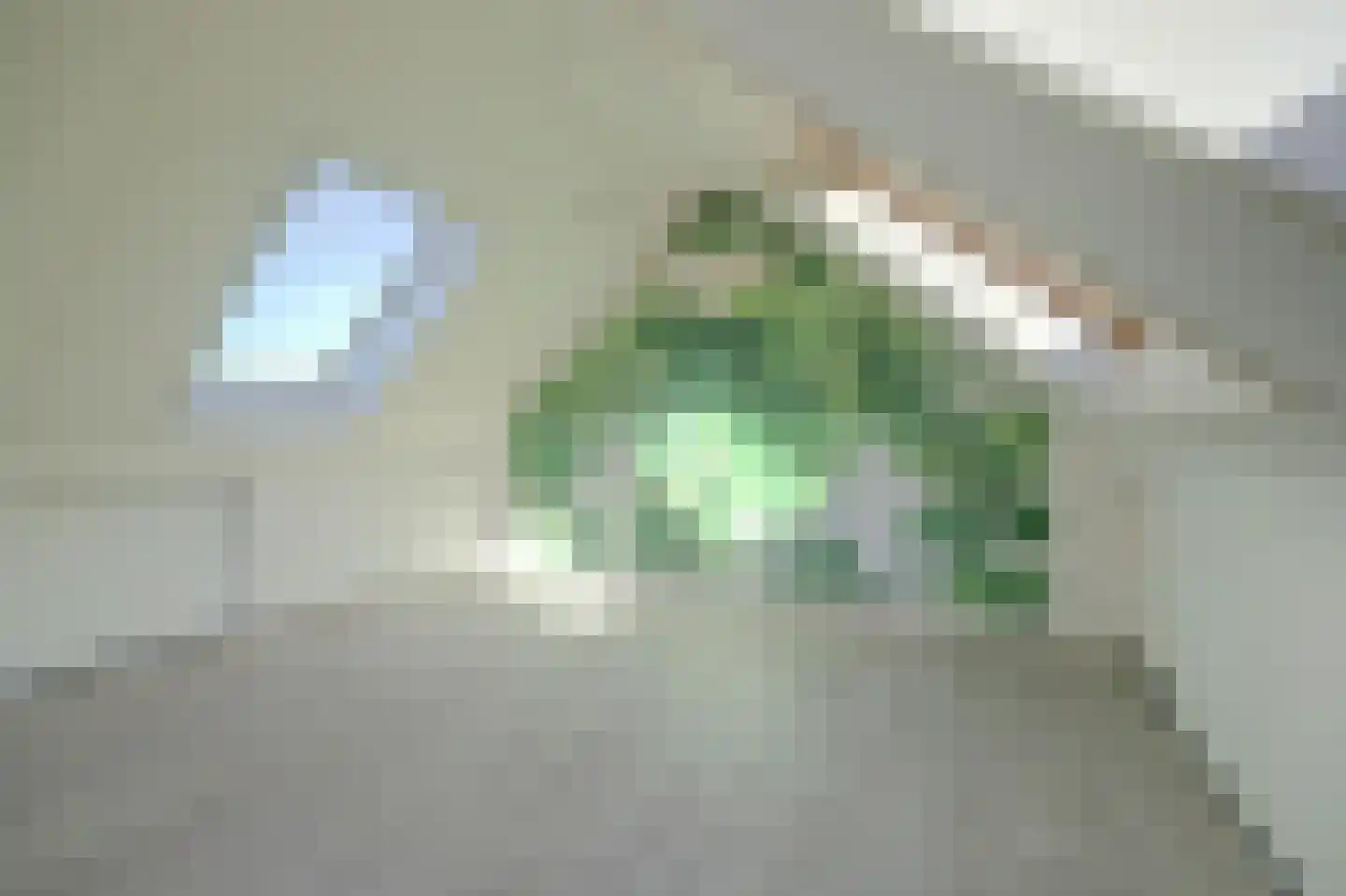 Klamptweid 80 Andijk thumbnail 19