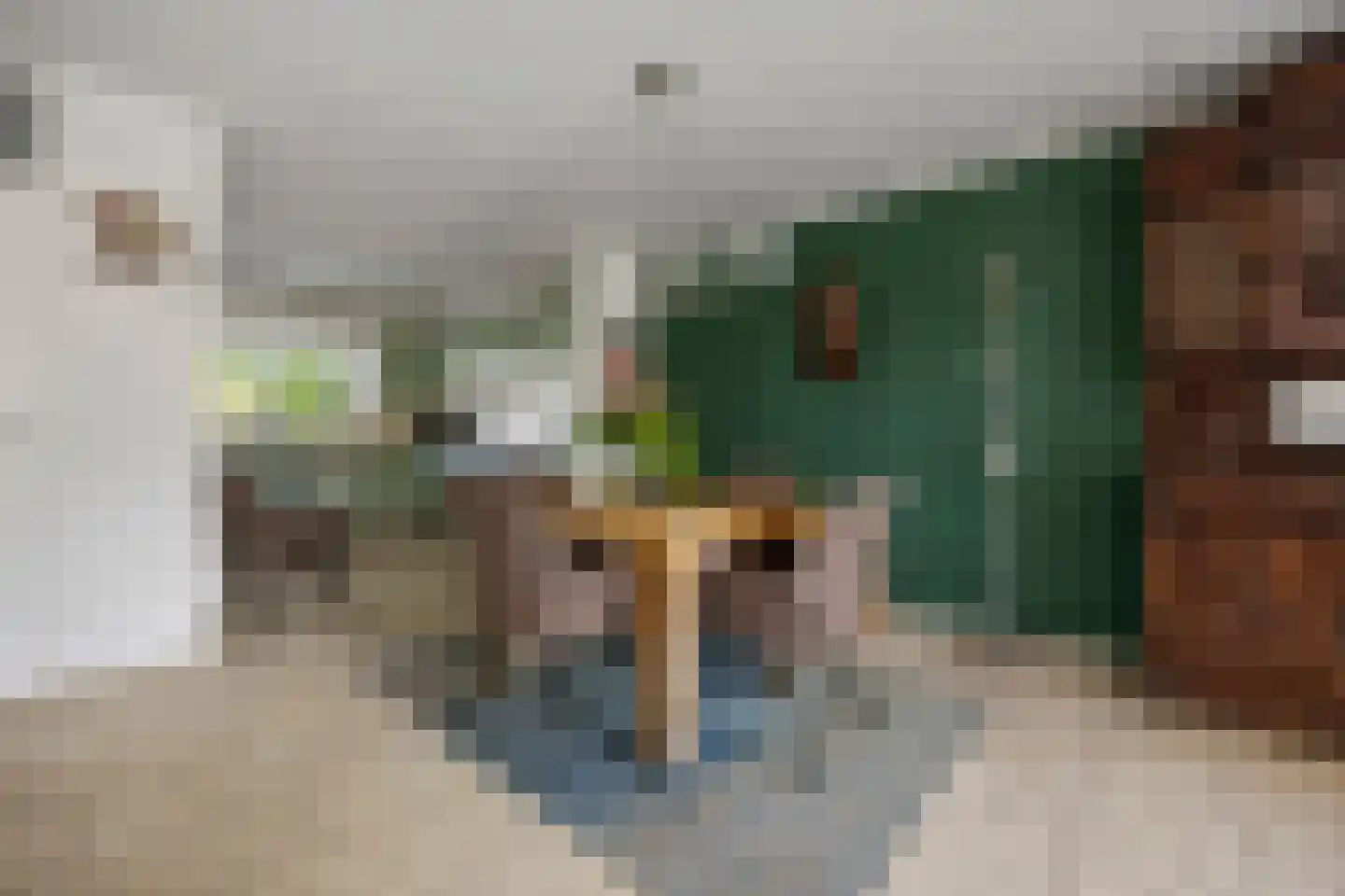 Klaphek 1 a Huissen thumbnail 10