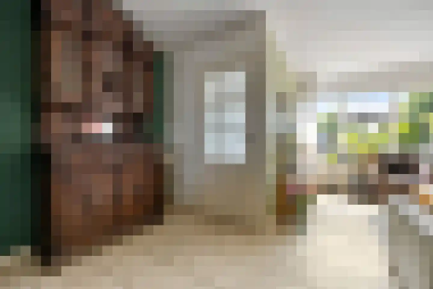 Klaphek 1 a Huissen thumbnail 11