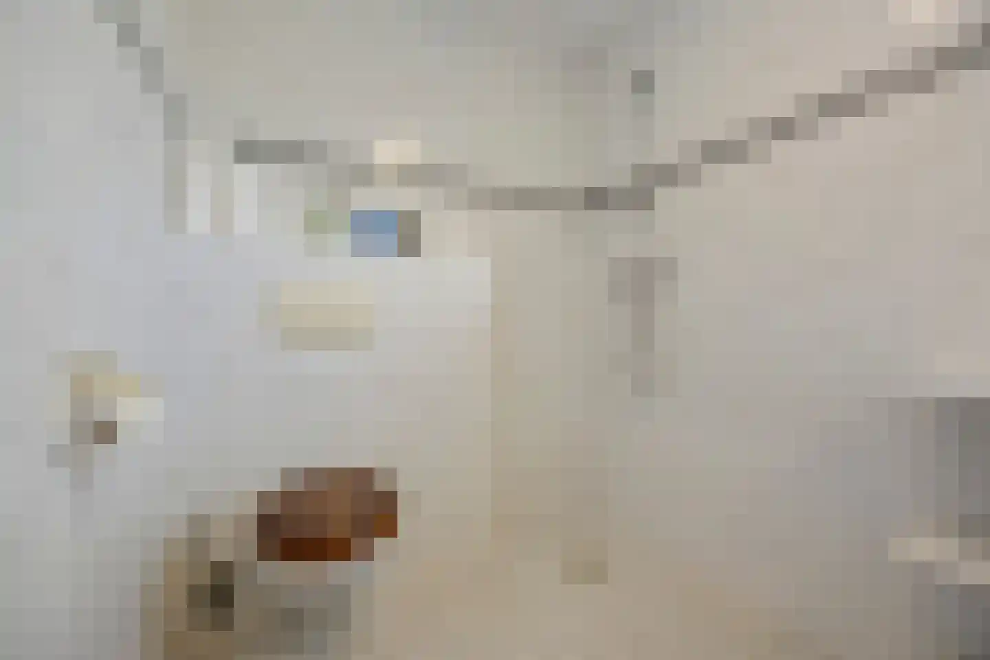 Klaphek 1 a Huissen thumbnail 18