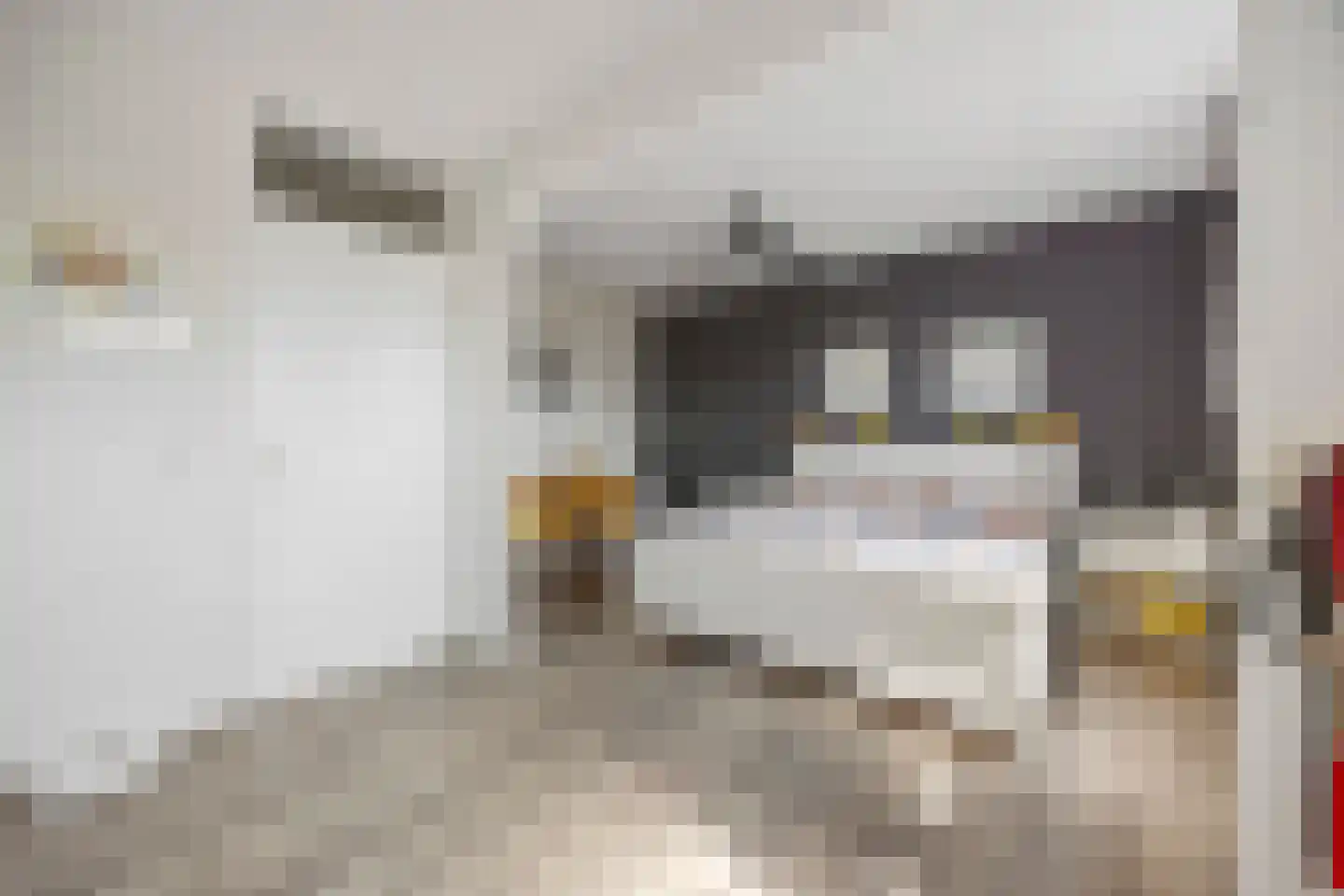Klaphek 1 a Huissen thumbnail 20