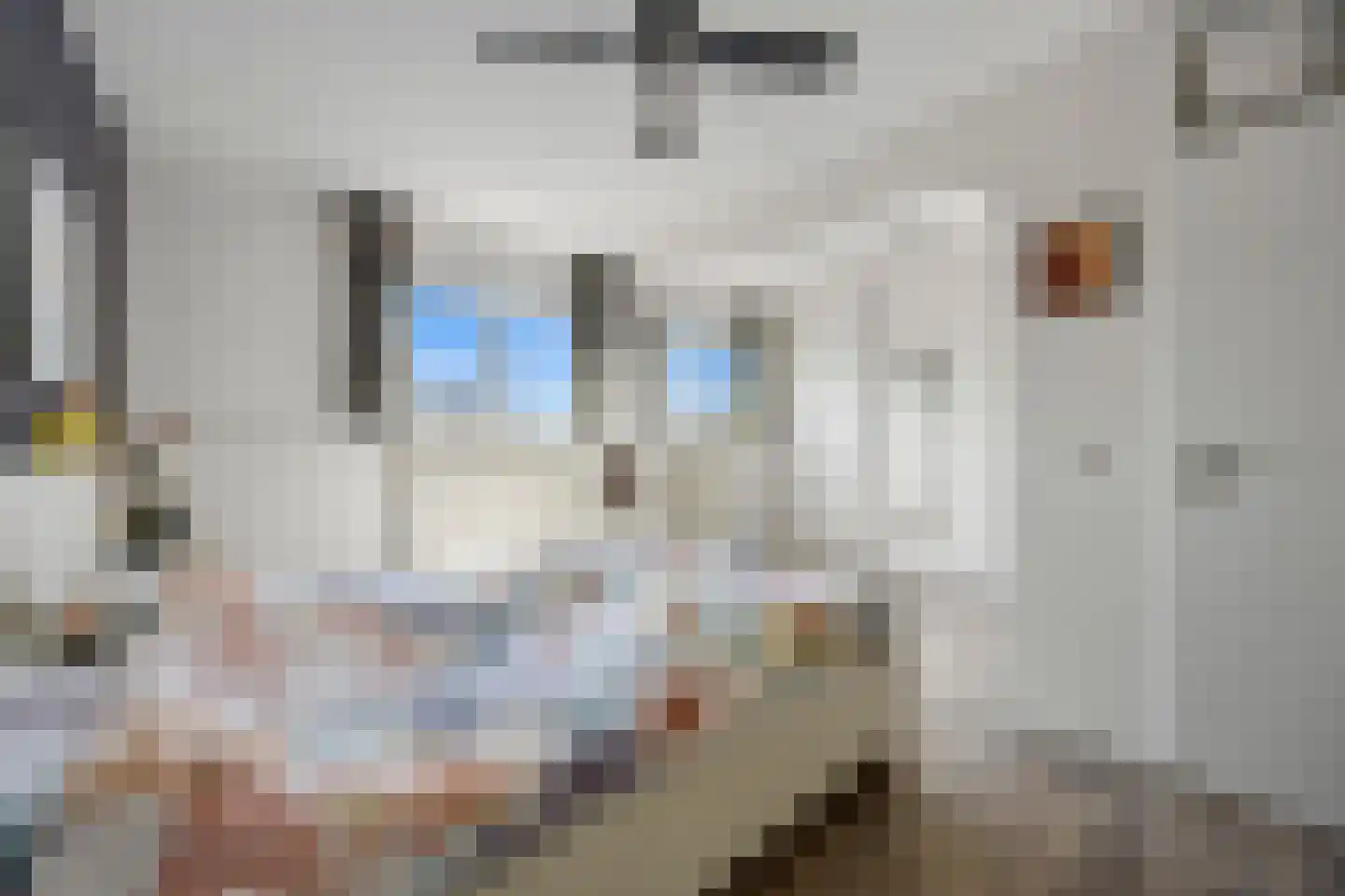 Klaphek 1 a Huissen thumbnail 21